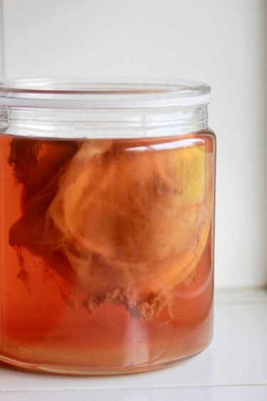 ชวนดื่ม kombucha ชาหมักสารพัดประโยชน์