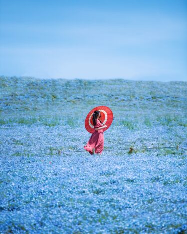 เที่ยวทุ่งดอกเนโมฟีล่า ที่ Hitachi Seaside Park – อิบารากิ